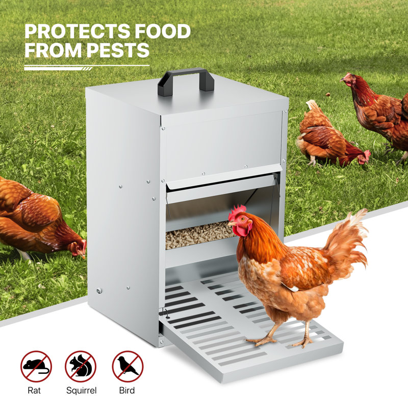 Tucker Murphy Pet™ Eadmund Automatic Chicken Chook Feeder Galvanized